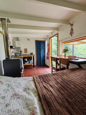 Cabaña TinyHouse 2 personas con Tinaja Curacautin